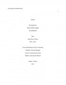 ANALISIS AUDIOVISUAL