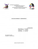 Igualad y diversidad tema de derecho.