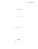 Ensayo estructural sobre el poema "Escrito está en mi alma vuestro gesto" de Garcilaso de la Vega.
