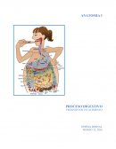 PROCESO DIGESTIVO - TRANSITO DE UN ALIMENTO