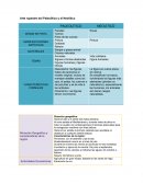 Arte rupestre del Paleolítico y el Neolítico