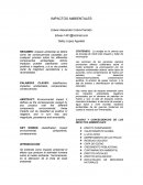 FORMATO IIIE Impactos Ambientales- Se entiende como impacto ambiental el efecto que produce la actividad humana sobre el medio ambiente. Tecnicamente, es la alteracion de la linea de base ambiental.