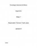 Auditoria ergonómica de la interrelación hombre-máquina.