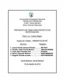 PROPUESTA DE TEMA PARA PROYECTO DE INVESTIGACION.