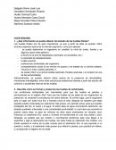 Qué información se puede obtener del estudio de las huellas fósiles?