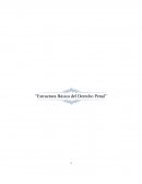 Estructura básica del derecho penal