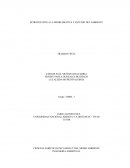 INTRODUCCIÓN A LA PROBLEMÁTICA Y ESTUDIO DEL AMBIENTE TRABAJO FINAL