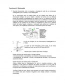 Cuestionario #1 Metalografía.