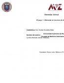 Bienestar en Vacas Lecheras