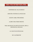Analisis libro identidad del psicologo