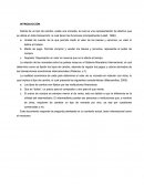 ¿En qué medida el tipo de cambio imprime una dimensión de mayor complejidad en las transacciones económicas internacionales?