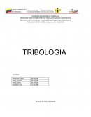 MINISTERIO PARA EL PODER POPULAR PARA LA EDUCACION UNIVERSITARIA