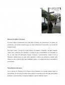 Historia del edificio y del museo.