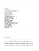 Los controles automáticos tienen una intervención cada vez más importante en la vida diaria.