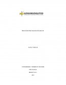 PROCESOS PSICOLOGICOS BASICOS.