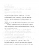 PLANEACIÓN DE PROYECTO: LAS ABEJAS