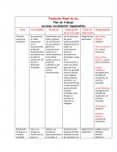 Plan de trabajo de la Fundación Ángel de luz