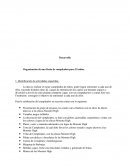 Administración proceso de organización