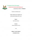 EDUCACIÓN HISTÓRICA EN EL AULA.