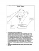 Representación simbólica de las principales reacciones químicas llevadas a cabo en dicho ciclo.