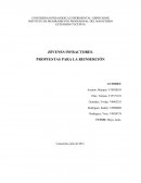 Jóvenes infractores . Propuestas para la reinsercion/.