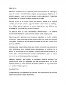 El páncreas es una glándula grande ubicada detrás del estómago y cerca de la primera parte del intestino delgado que segrega jugos digestivos en el intestino delgado a través de un tubo llamado conducto pancreático.