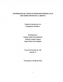 DETERMINACIÓN DEL GRADO DE SUPERACIÓN PERSONAL DE UN SER HUMANO PRIVADO DE LA LIBERTAD