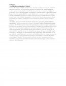 Vigotsky y las trayectorias no encausadas