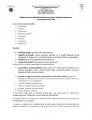 Satisfacción con la calidad de la atención en mujeres en periodo posparto de Un hospital de tercer nivel