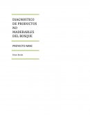 DIAGNOSTICO DE PRODUCTOS NO MADERABLES DEL BOSQUE.