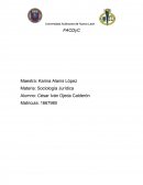 Investigacón de Sociología Jurídica