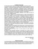 Video sobre la historia de las cosas