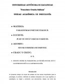 ENSAYO SOBRE EL PARADIGMA, LA TEORÍA SOCIAL HOY Y LA INTRODUCCIÓN A LA ANTROPOLOGÍA.