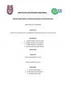 Fisicoquimica. Cinética De La Decoloración De La Fenolftaleína En Medio Alcalino, Efecto De La Fuerza Iónica”