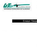 Desarrollo del pensamiento vertical y lateral del Ser Humano