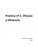CASO Nº 1 EL CASO DE LAS CAMPAÑAS DE PREVENCION DE LA SANIDAD PUBLICA Y LA EFICACIA Y EFICIENCIA DE LAS ORGANIZACIONES