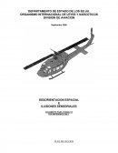 DESORIENTACION ESPACIAL E ILUSIONES SENSORIALES