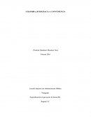 COLOMBIA, BUROCRACIA A CONVENIENCIA