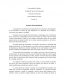 Los puentes del conocimiento