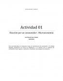 Actividad de microeconomía - Elección por un consumidor