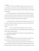 El reiki en el cuidado holistico