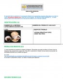 Modelo Canvas para reconocer los principales factores del modelo de negocio.