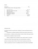 Vivencia del pueblo mojeño