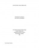 Concepto de caracterizacion