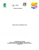 PROGRAMA CIENCIAS DE LAINFORMACION, BIBLIOTECOLOGIA Y ARCHIVISTICA