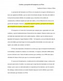 Gestión y percepción del transporte en el Perú