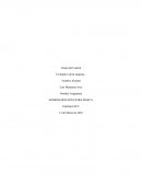 La organización y la estrategia.