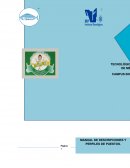 El manual de Perfil de Puestos