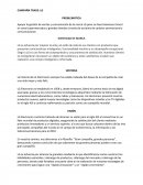 CAMPAÑA TRADE: LG PROBLEMÁTICA