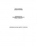 TRABAJO INDIVIDUAL ANALISIS DE SISTEMAS SERVICAR JT